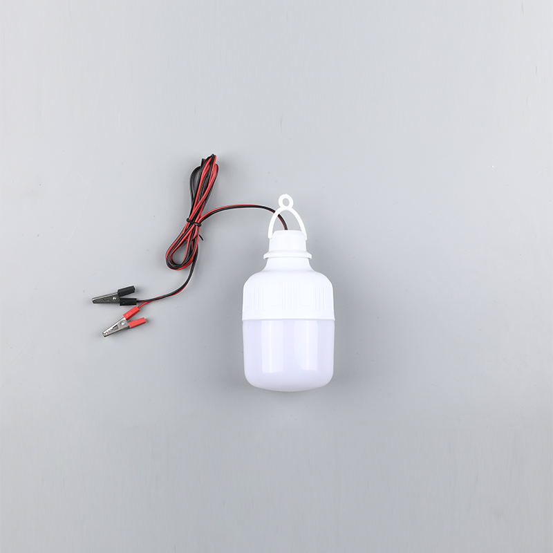 Żarówka led-dc12v 24v
