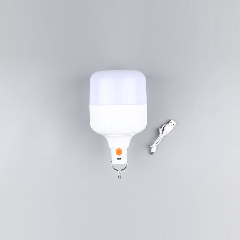 Żarówka Led-DC 12v 24v